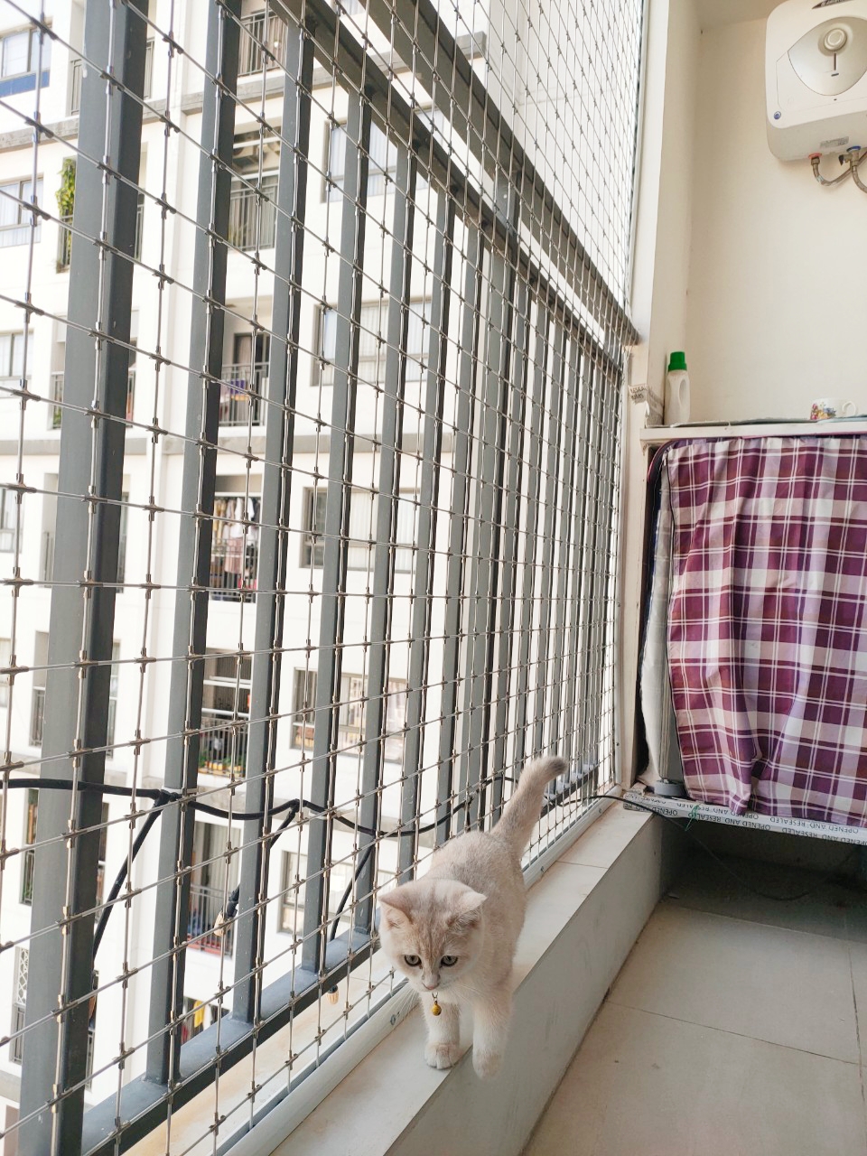meo6 Lưới An Toàn Chống Mèo - Ảnh 2